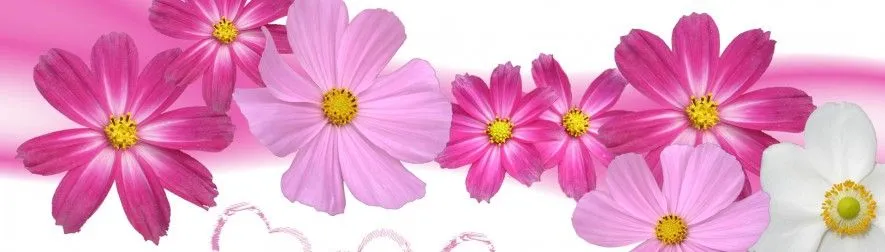 Imagenes en wallpaper de flores - Imagui