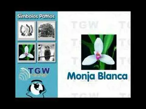 Simbolos Patrios de Guatemala - YouTube