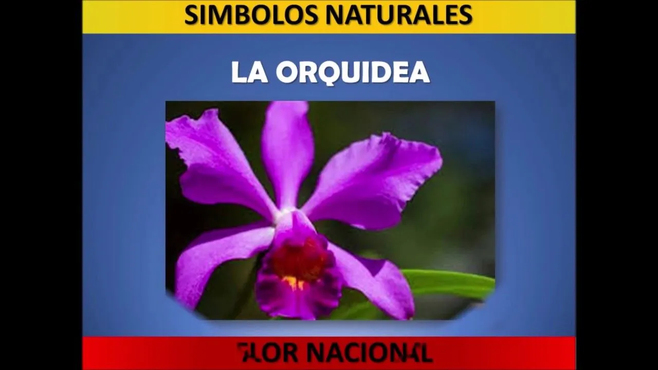 Nuestros Símbolos Patrios y Naturales. Primera Semana Nuestros Símbolos Patrios y Naturales. Primera Semana