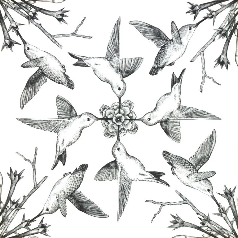 Simetría Colibrí César Efraín León - Artelista. Simetría Colibrí César Efraín León - Artelista.