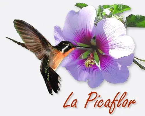 simplemente shani: (-.-) un picaflor zp (-.-)