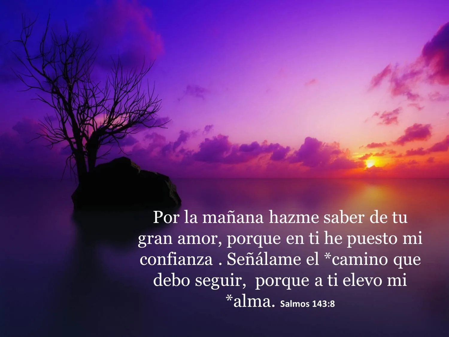 Simplemente Vivir en CRISTO: Salmos y Proverbios Simplemente Vivir en CRISTO: Salmos y Proverbios