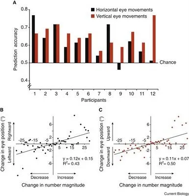 Sinapsis: La posición de los ojos predice el número que tienes en ...