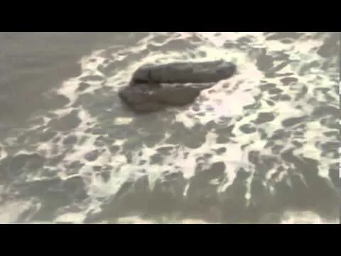 sirena encontrada 2013 en costa israelí (Video) - YouTube