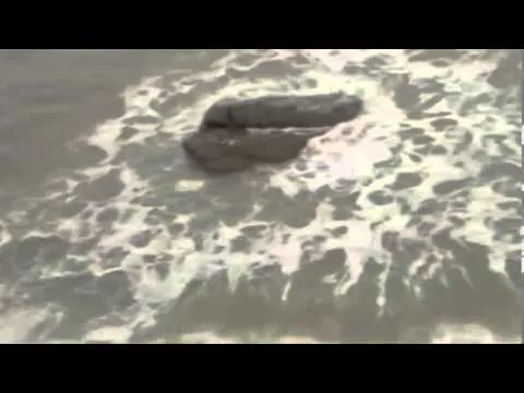 sirena encontrada 2013 en costa israelí (Video) - YouTube sirena encontrada 2013 en costa israelí (Video) - YouTube