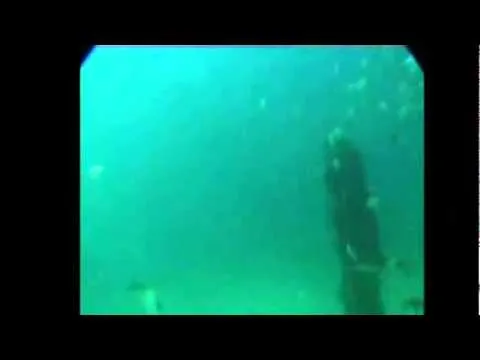 sirenas reales explicadas - YouTube