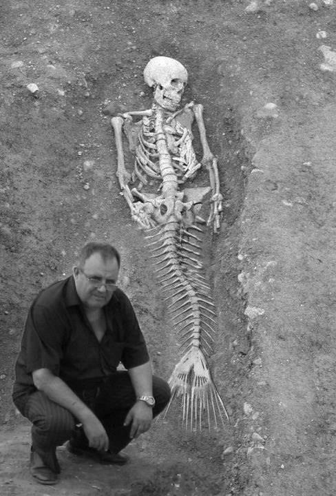 Sirenas reales - Imagui