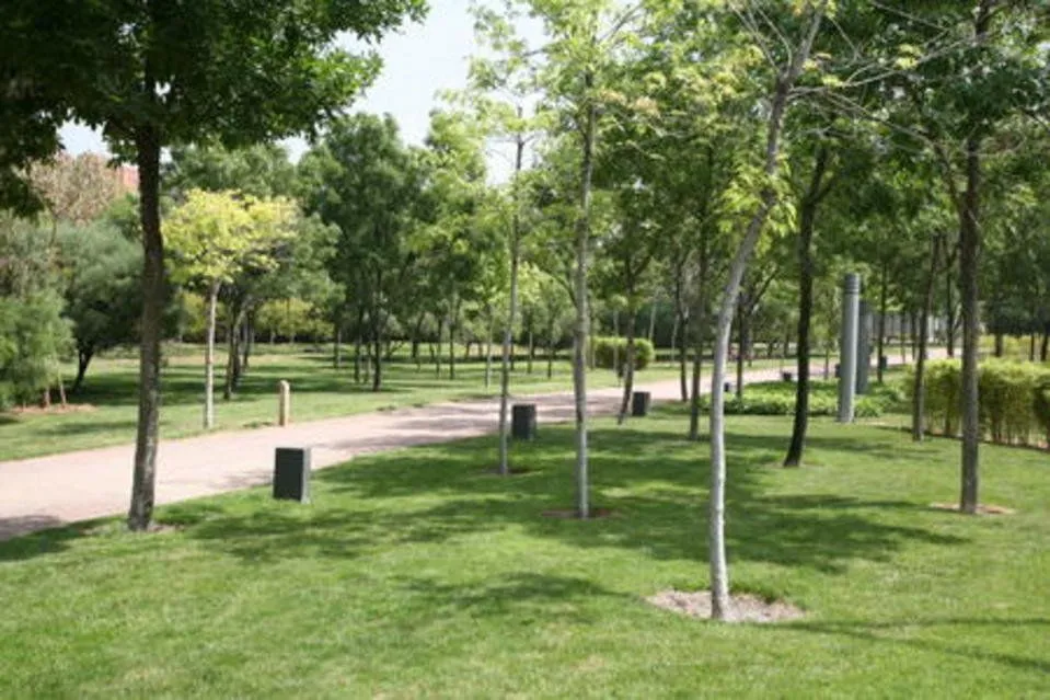 Sistema para ahorrar agua en el riego de los parques Sistema para ahorrar agua en el riego de los parques