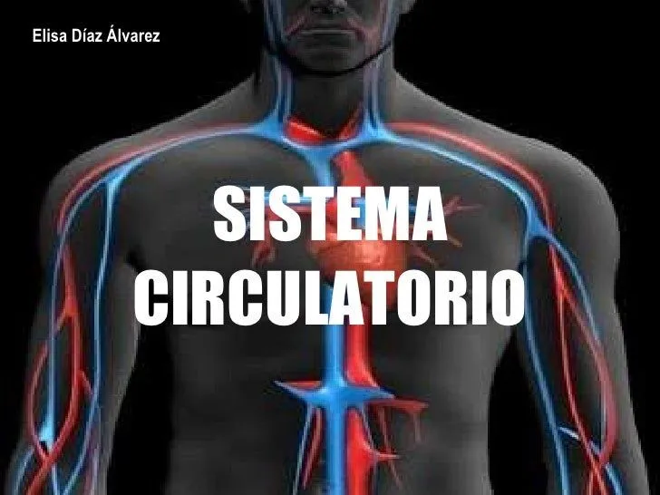 El Sistema Circulatorio