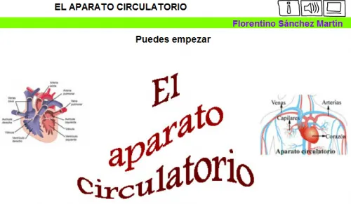 SISTEMA CIRCULATORIO | JUGANDO Y APRENDIENDO SISTEMA CIRCULATORIO | JUGANDO Y APRENDIENDO