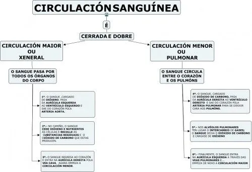 SISTEMA CIRCULATORIO | JUGANDO Y APRENDIENDO SISTEMA CIRCULATORIO | JUGANDO Y APRENDIENDO