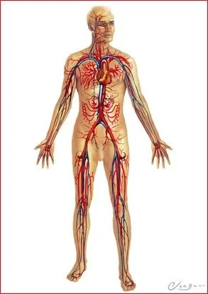 Vivo en el Tercero "I" | Un lugar para los alumnos de Informática ...