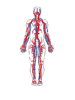 CRISTINA-CIENCIAS: diciembre 2010 CRISTINA-CIENCIAS: diciembre 2010