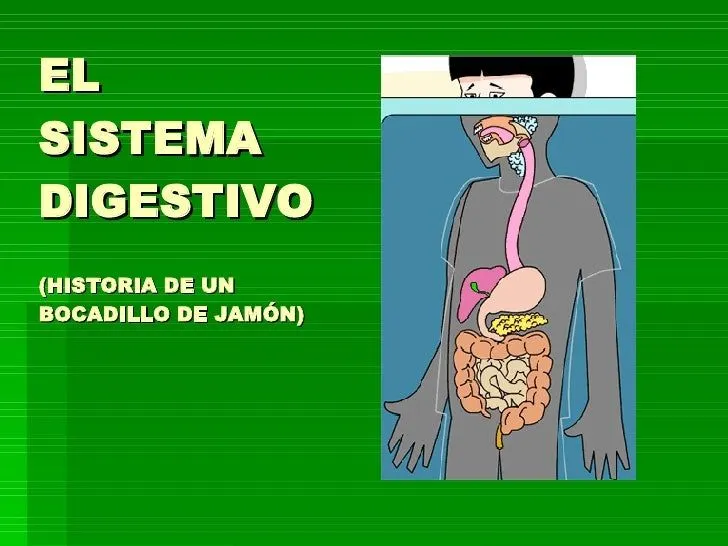 Cuento sobre el sistema digestivo para niños - Imagui