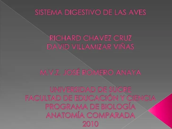 Sistema Digestivo De Las Aves