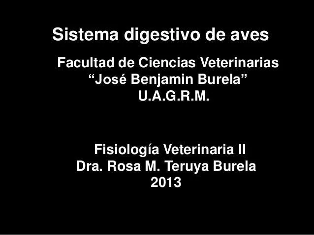 Sistema digestivo de aves