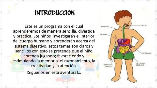 sistema-digestivo-liliana- ...
