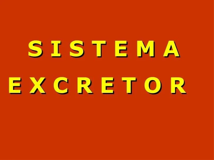 SISTEMA EXCRETOR