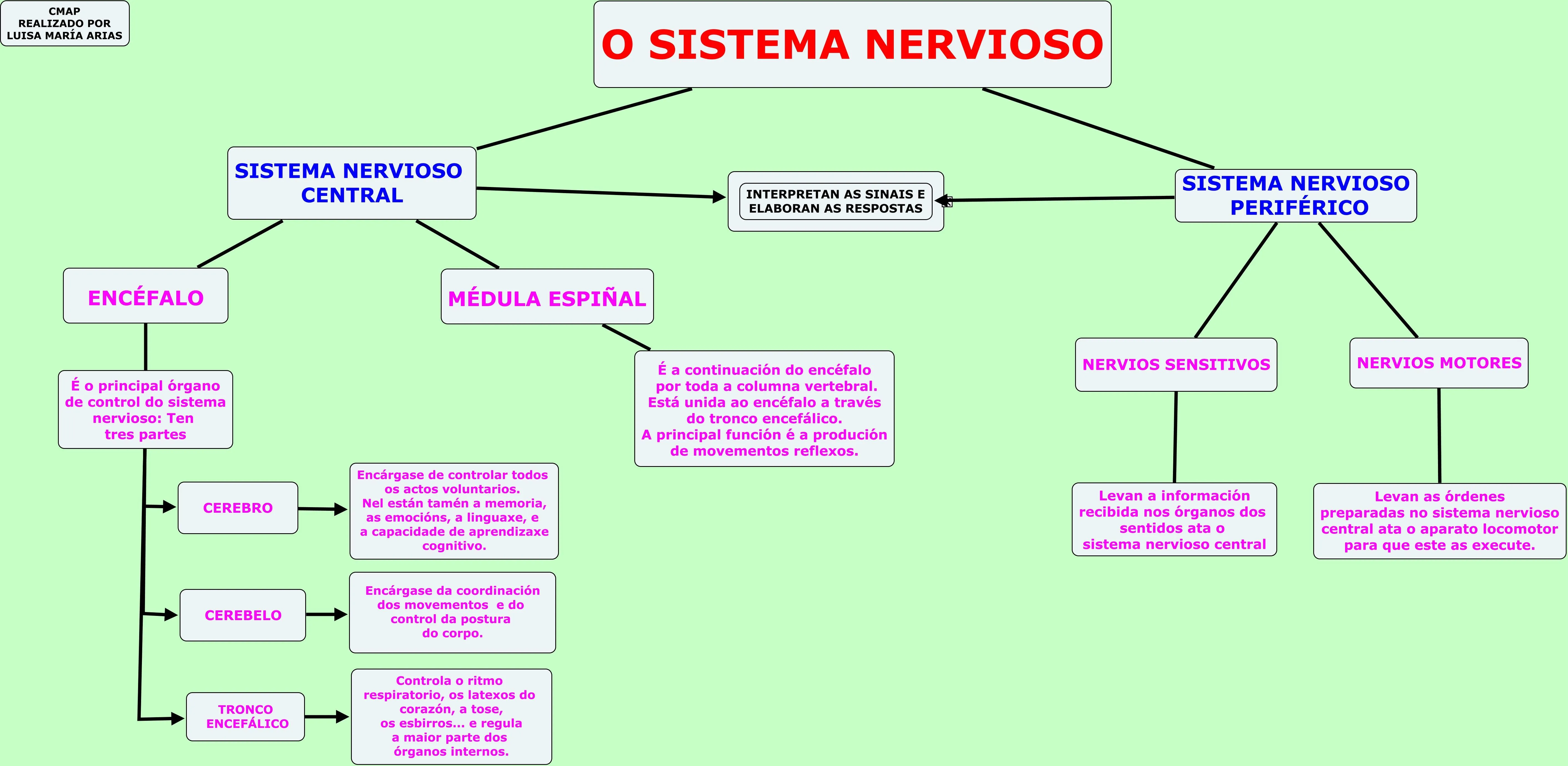 O SISTEMA NERVIOSO | JUGANDO Y APRENDIENDO