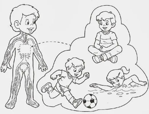 Sistema óseo para inicial - Imagui
