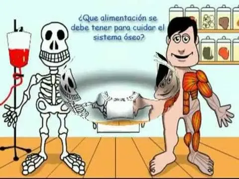 sistema oseo - YouTube