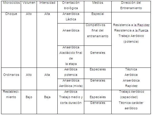 El Sistema de Planificación en la Preparación de los Boxeadores ... El Sistema de Planificación en la Preparación de los Boxeadores ...
