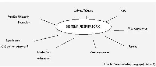 Sistema respiratorio cuadro sinoptico - Imagui