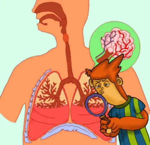 SISTEMA RESPIRATORIO | JUGANDO Y APRENDIENDO SISTEMA RESPIRATORIO | JUGANDO Y APRENDIENDO