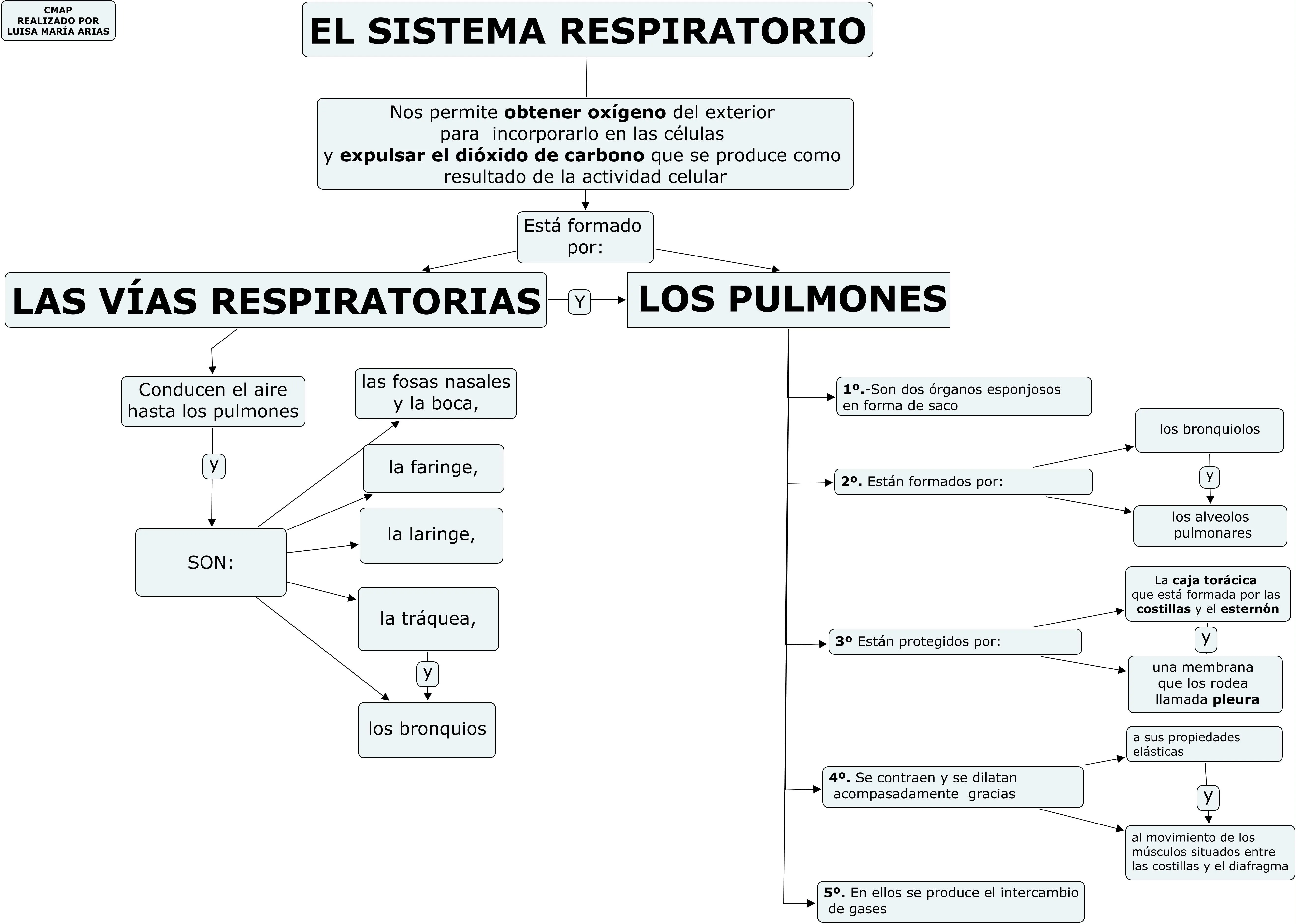 O SISTEMA RESPIRATORIO. MAPA CONCEPTUAL | JUGANDO Y APRENDIENDO O SISTEMA RESPIRATORIO. MAPA CONCEPTUAL | JUGANDO Y APRENDIENDO
