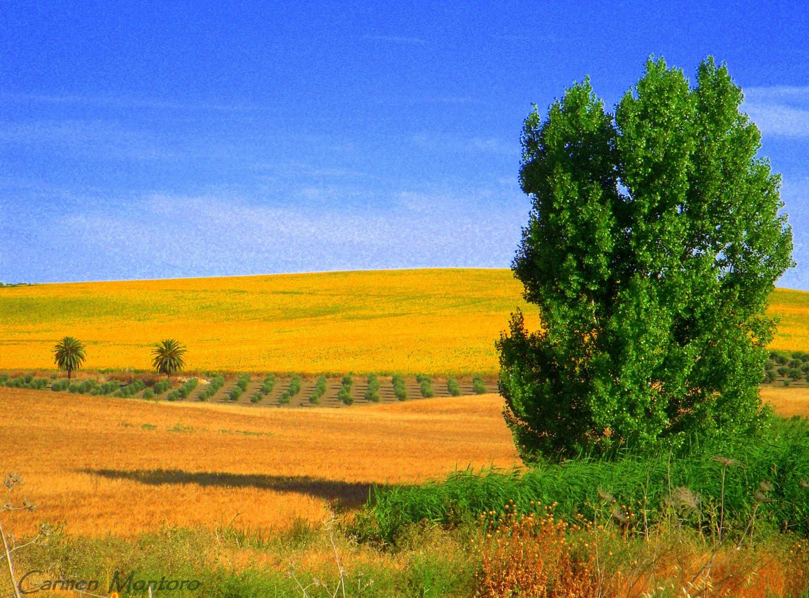 un sitio diferente: paisajes jiennenses