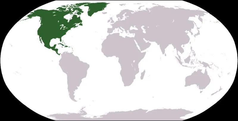 Situación por continentes América Latina (América del Norte) - El ...