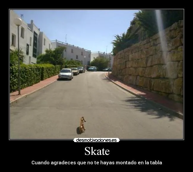 Skate | Desmotivaciones