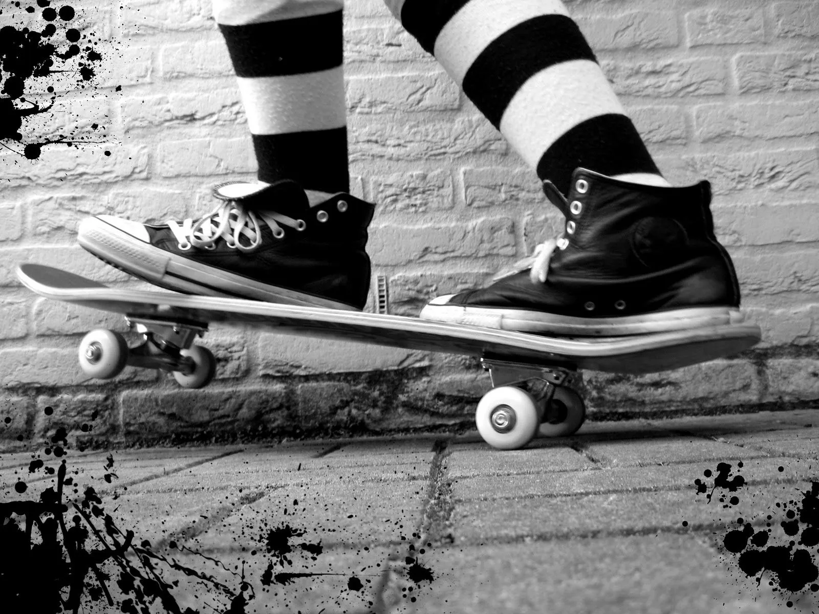Mujeres en skate - Imagui