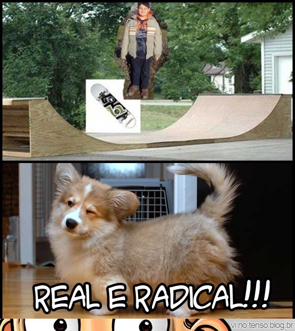 Skate | Tenso - Parte 2