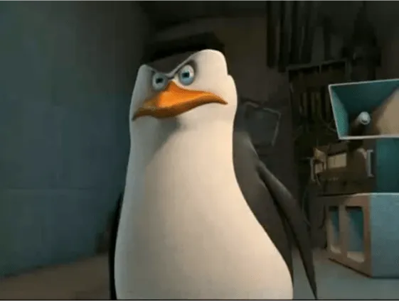 Skipper.png