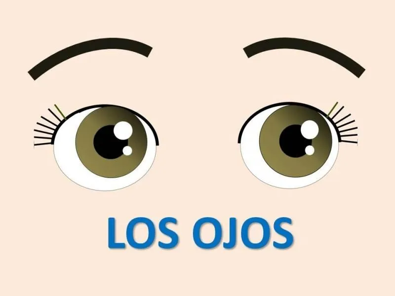 Slideshow: LAS PARTES DEL CUERPO (lengua - Transición - Preescolar - partes del cuerpo - cabeza - la cancion del cuerpo - manos - nariz) Slideshow: LAS PARTES DEL CUERPO (lengua - Transición - Preescolar - partes del cuerpo - cabeza - la cancion del cuerpo - manos - nariz)
