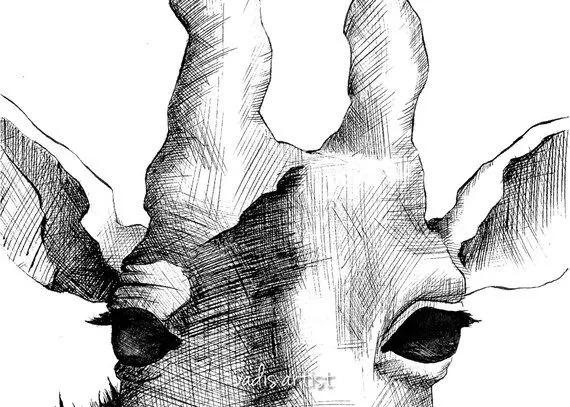 Small Pen and Ink Giraffe Drawing Animal Nursery por VadisArtist Small Pen and Ink Giraffe Drawing Animal Nursery por VadisArtist