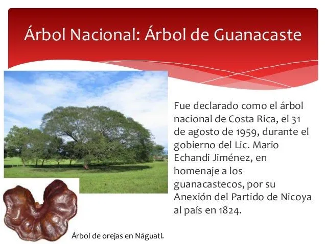 smbolos-patrios-costarricenses ...