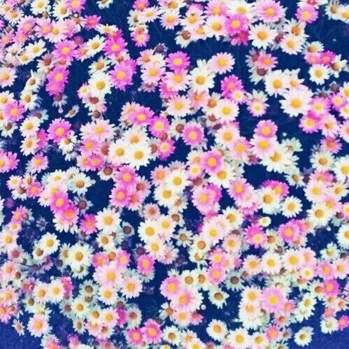 Smile more. Worry less. — #background #flores #flowers #vintage ... Smile more. Worry less. — #background #flores #flowers #vintage ...