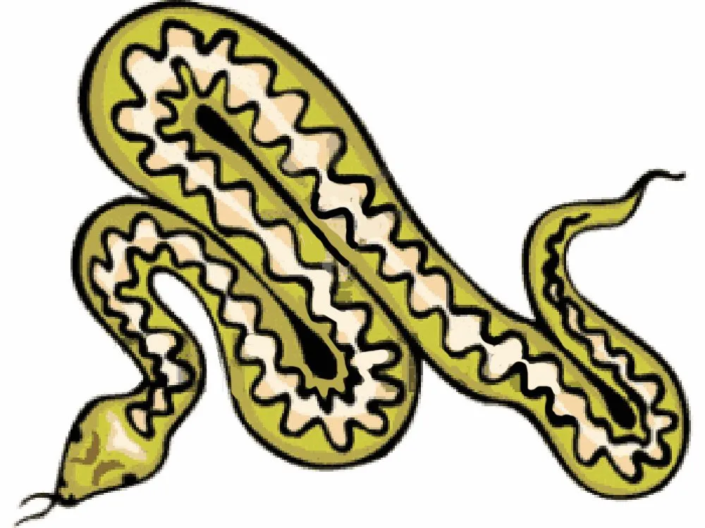 Snake Boa Clipart | Free Cliparts - ClipArt Best - ClipArt Best