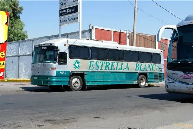 Snap Estrella Blanca photos on Pinterest