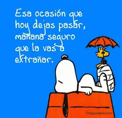 Snoopy Frases - Snoopy pharses on Pinterest | Snoopy, Frases and ...