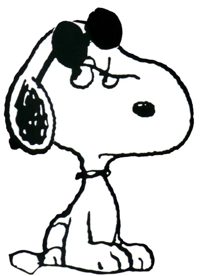 Snoopy on Pinterest | 242 Pins
