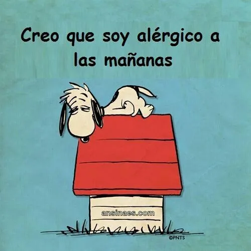 Snoopy on Pinterest | Frases, Dice and Charlie Brown