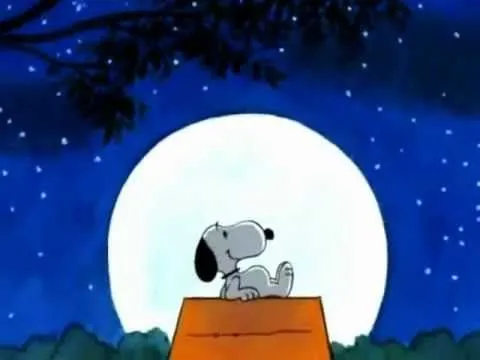 SNOOPY VIDEOCLIP - YouTube
