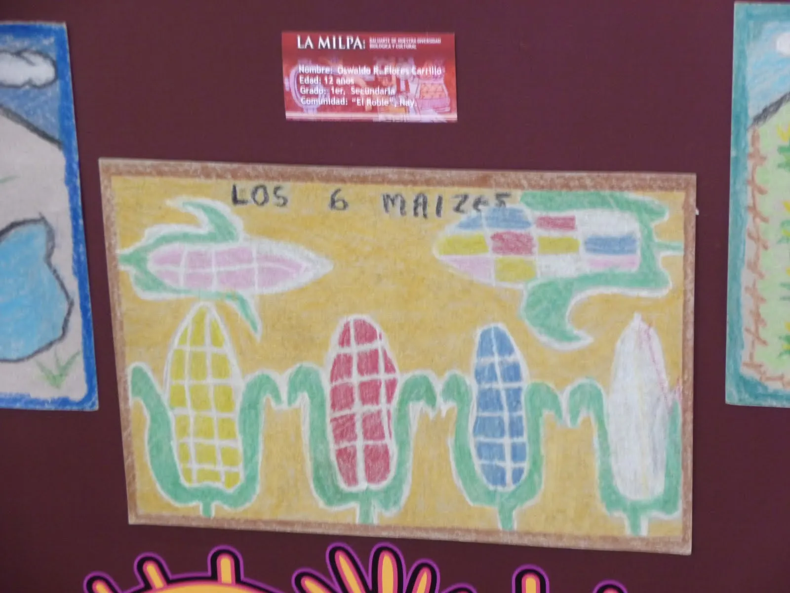 En la sobremesa de María: La Milpa: Baluarte de Diversidad ... En la sobremesa de María: La Milpa: Baluarte de Diversidad ...
