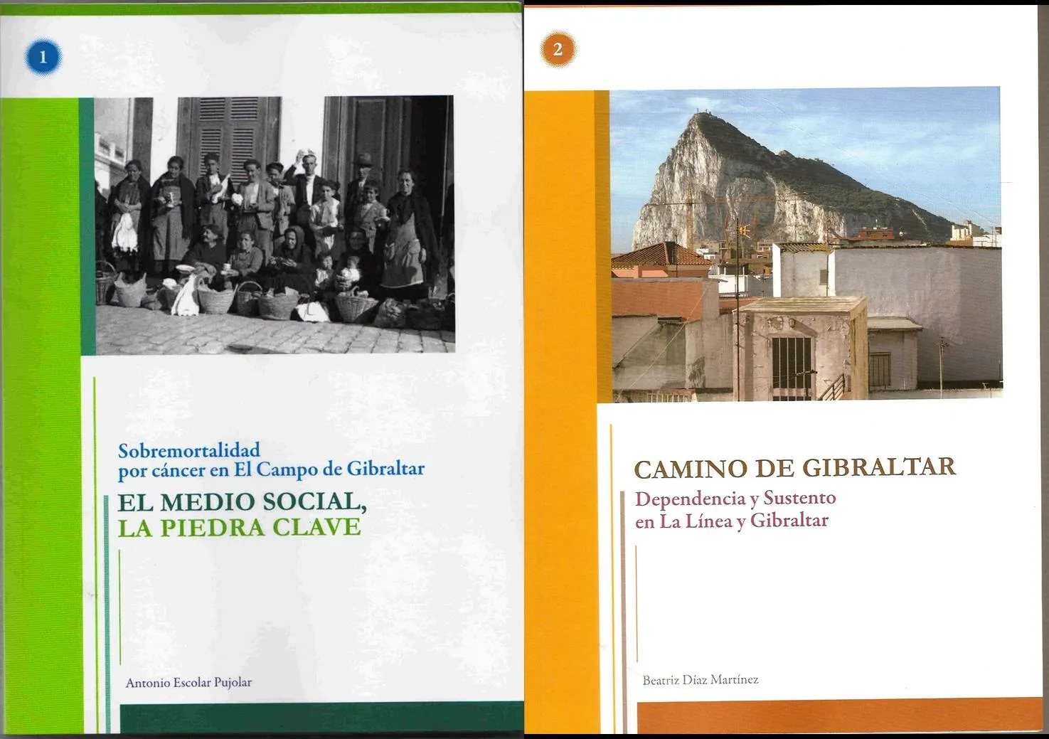 Sobremortalidad por cáncer en El Campo de Gibraltar”, un ejemplo ... Sobremortalidad por cáncer en El Campo de Gibraltar”, un ejemplo ...