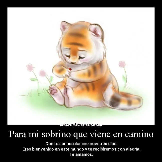 Para mi sobrino que viene en camino | Desmotivaciones Para mi sobrino que viene en camino | Desmotivaciones