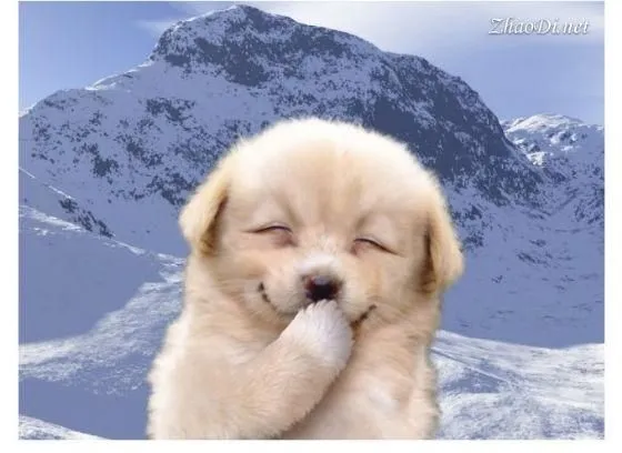 Socorro, sou fofo | Gramática e Literatura e Redação Socorro, sou fofo | Gramática e Literatura e Redação