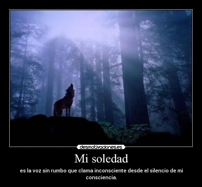 Mi soledad | Desmotivaciones